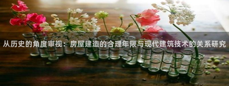 狗子28系统
